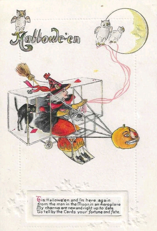 Halloween Witch Airplane Greeting Card