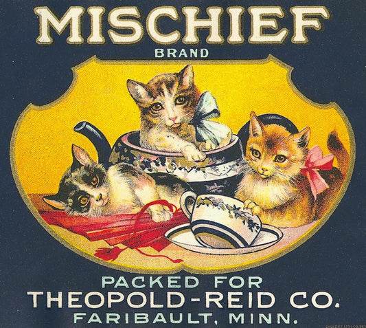 Mischief Brand