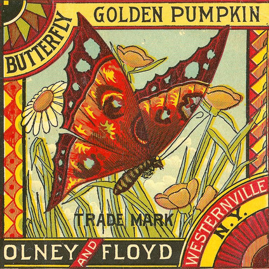 Golden Pumpkin Butterfly Brand