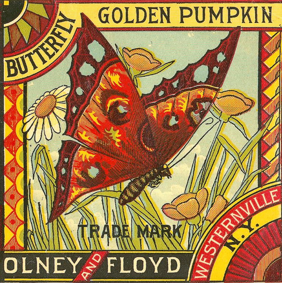 Golden Pumpkin Butterfly Brand artwork