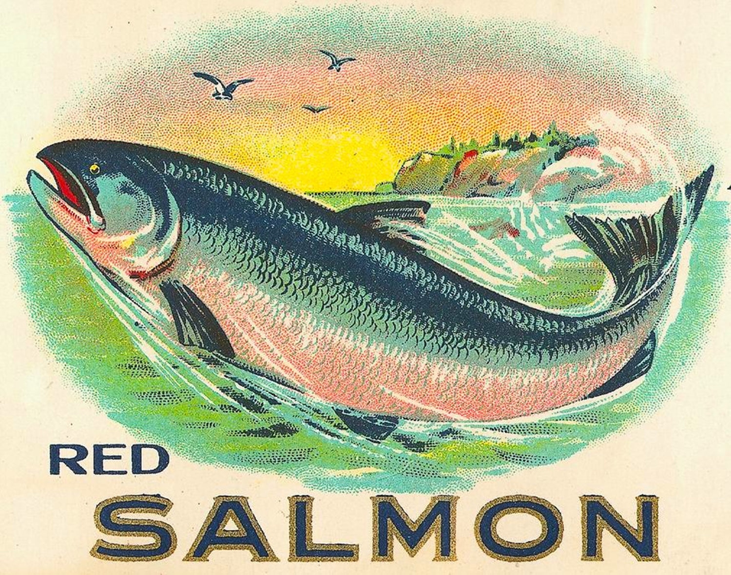 Red Salmon