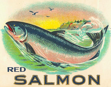 Red Salmon T-Shirt preview