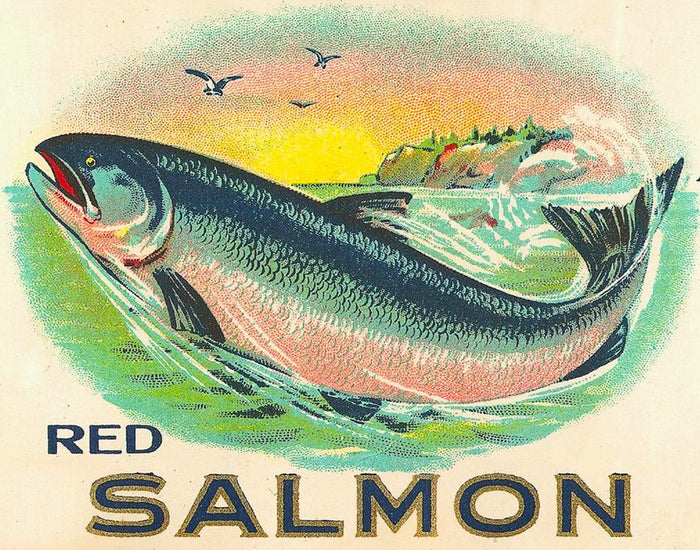 Red Salmon Postcard preview