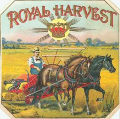 Royal Harvest Cigar Label T-Shirt preview