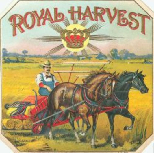 Royal Harvest Cigar Label