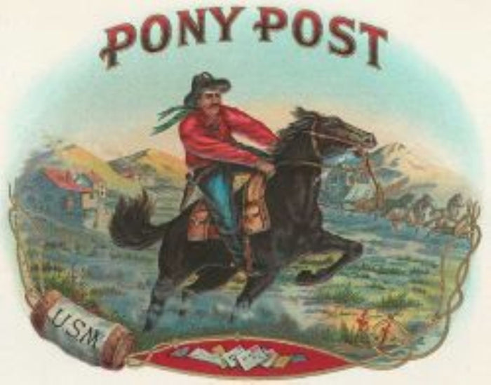 Pony Post Cigar Label Postcard preview