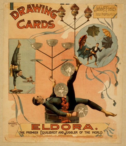 Flora Drawing Cards
