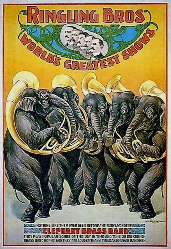 Ringling Bros Elephant Brass Band Postcard preview