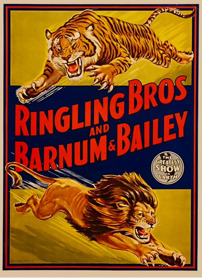 Ringling Bros and Barnum & Bailey Circus Postcard preview