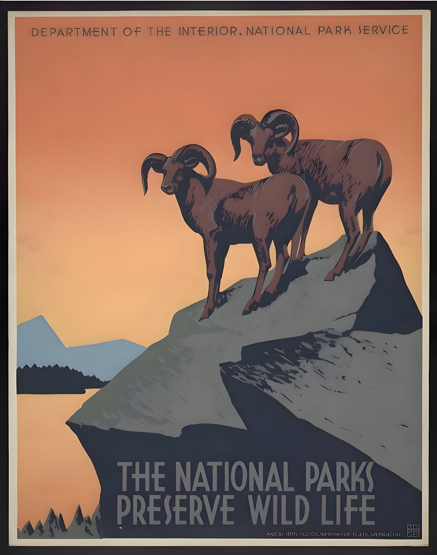 The National Parks Preserve Wild Life